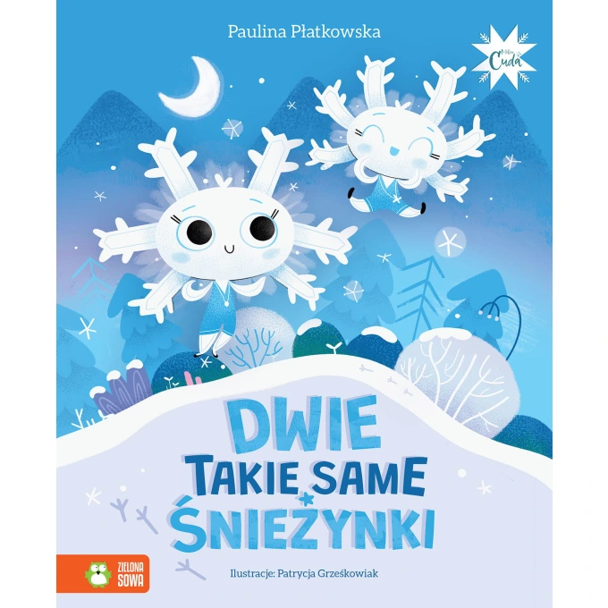 Dwie takie same śnieżynki - 4-5 lat